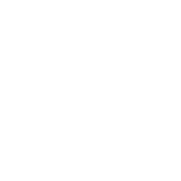 light_and_wonder