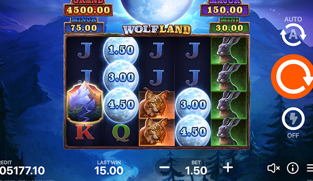 Wolf Land: Hold and Win