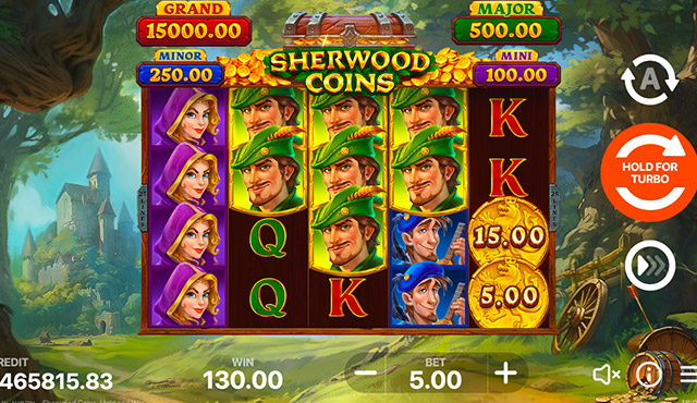 Sherwood Coins: Hold and Win