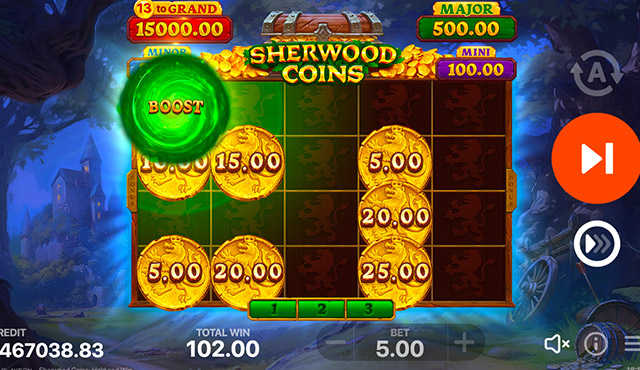 Sherwood Coins: Hold and Win