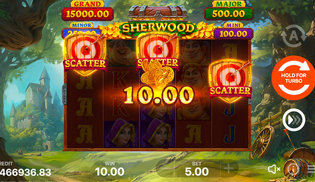 Sherwood Coins: Hold and Win