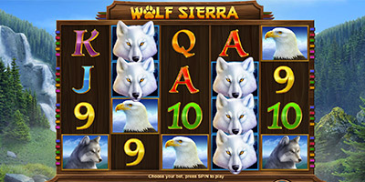 Wolf Sierra