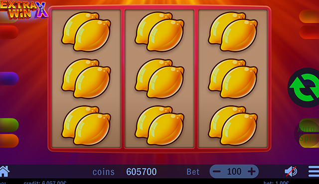 Extra Win X