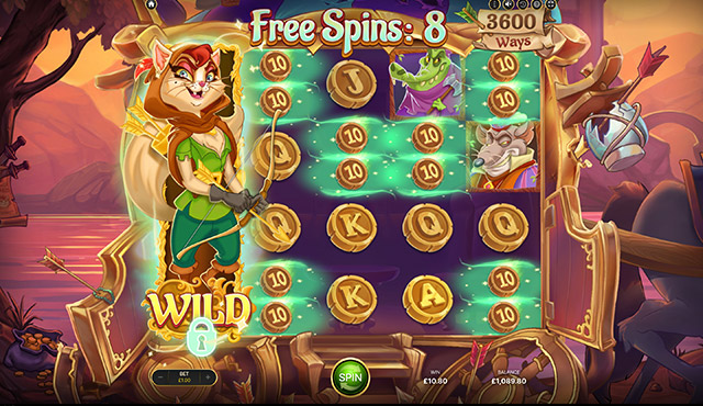 Ms Robin Hood