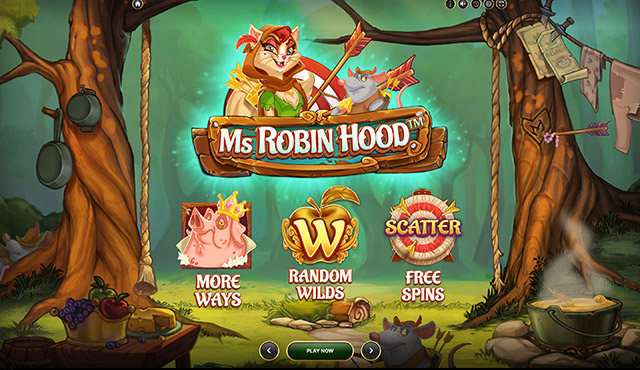 Ms Robin Hood