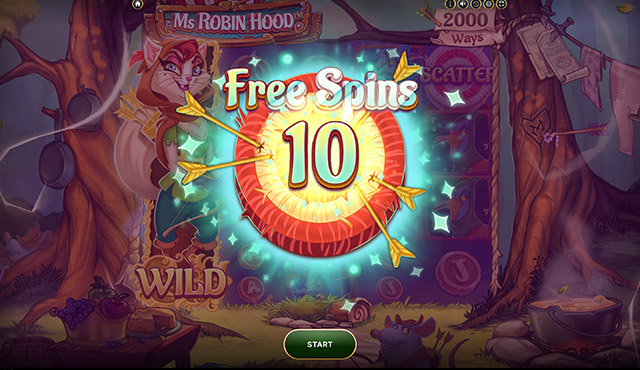 Ms Robin Hood